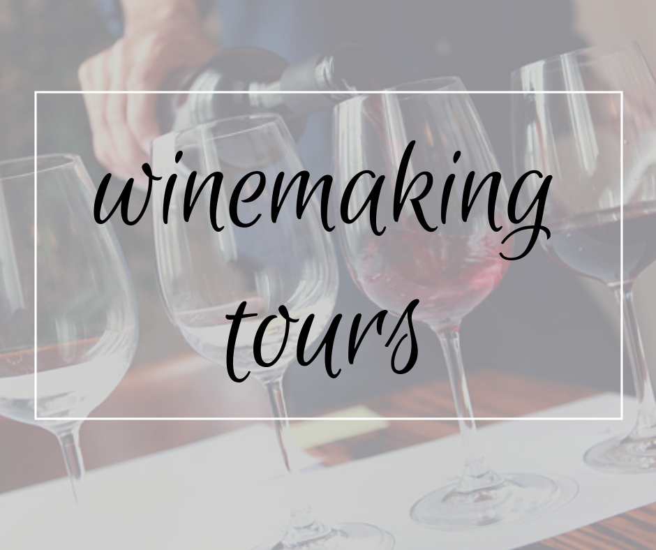 Wine Tours
